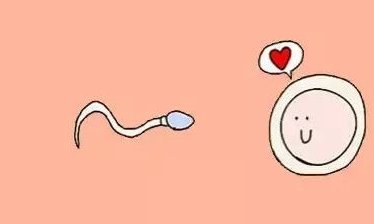 0 元泰国幸“孕”考核之旅 ，新年假期再度火热征集