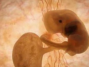 邵阳试管婴儿医院哪家强？邵阳有几家做试管的医院？