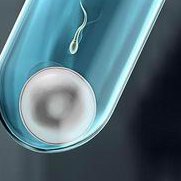 北医三院生殖中心的试管婴儿成功率是多少？