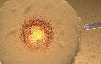 试管婴儿成功后的保胎药物费用是否可由职工医保报销？