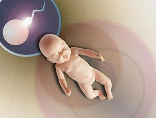 做试管婴儿技术选择哪代才对？试管婴儿取卵前还有哪些注意事项？